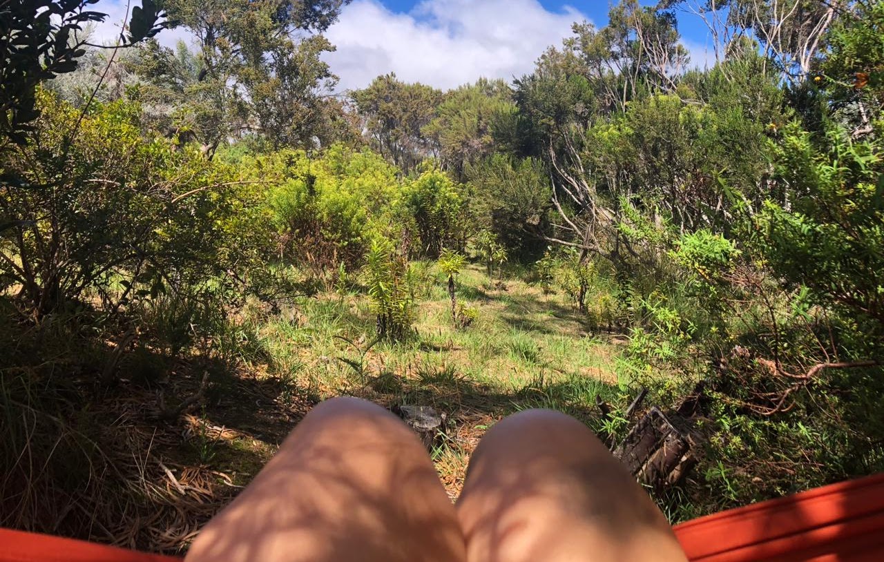 Paysage naturel de La Réunion